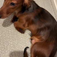 元気いっぱいの男の子