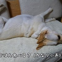 「ご飯食べる？」と小声で質問