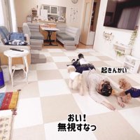 床にうつ伏せになっている飼い主を取り囲む3頭の犬