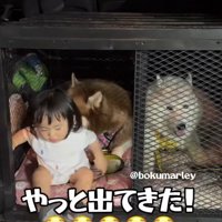 観念したと思いきや！？
