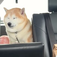 疲れ切ってしょぼしょぼに！？