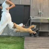 ギャップがすごすぎる！