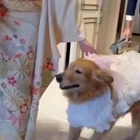「来てくれてありがとう！」