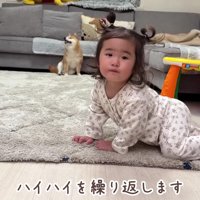 ハイハイにハマっちゃった♪