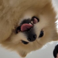 アップ