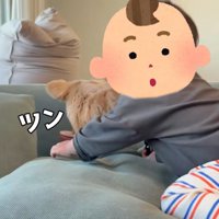 追い回し始めたら…