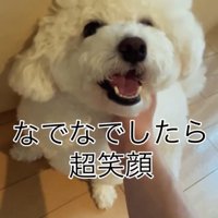顎を撫でられる犬