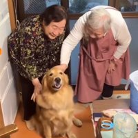 笑顔の双子のおばあちゃんと大型犬