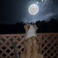 以前から花火が大好き