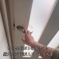扉を閉めて…