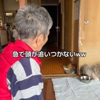 その場でフリーズ
