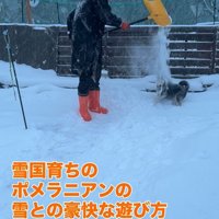 龍之介くんの雪遊び2