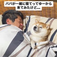 仰向けになってみるも…