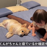 「ちゃんと寝ているかな？」