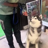 「もう行っていい？」