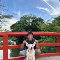 耳を触られる犬