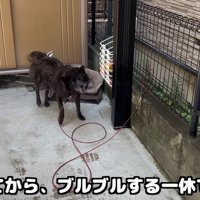 それでも気遣いを忘れません♪