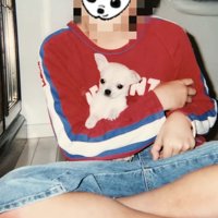人の膝でくつろぐ犬