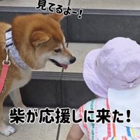 「がんばれぇ」