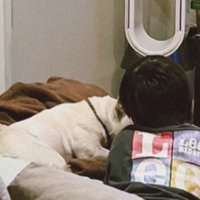 ソファでまったり