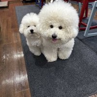 仲良し