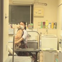 お姉さんにギュっとハグされるイタグレ