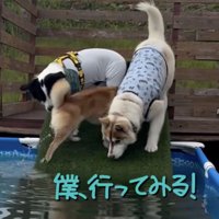 やる気しかないうみくん