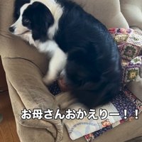 マリちゃんの熱烈歓迎