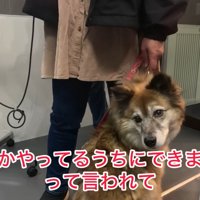 他のサロンでは断られてしまったそう