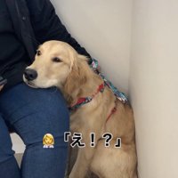 先生は無言で脚を触り続けます