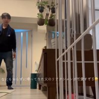 驚いて固まるお父さん