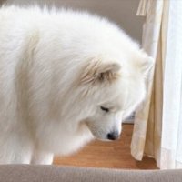 しょんぼり