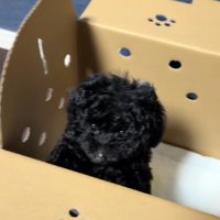のいちゃん