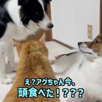 すぐには飲み込めない現実