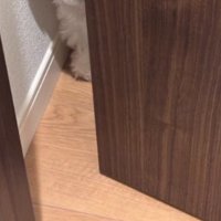 ドア
