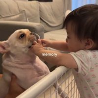 ぶうちゃんと赤ちゃん9