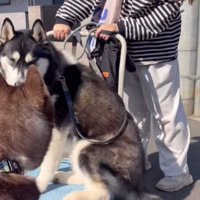 「え…どういうこと？」