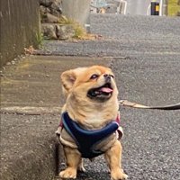 がっしり逞しい…！！