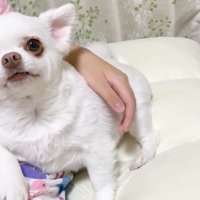 「ママと寝よう」と改めて誘ったら…