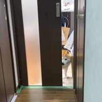 鼻で扉を開けるらんまるくん