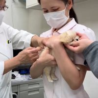 女医さんたちがサポート！