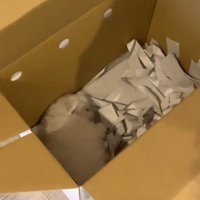 寝てる…！！