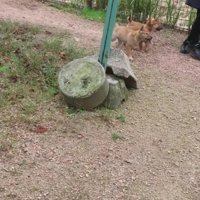 熱烈な歓迎っぷりにホッコリ