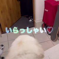 妹が遊びに来て…