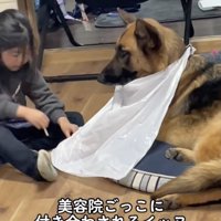 着々と進む準備