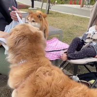 まずは公園で味見