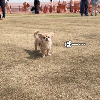 ぼーっとして休憩中