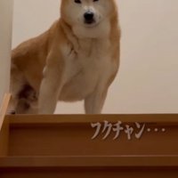 お兄ちゃん、頑張って…！