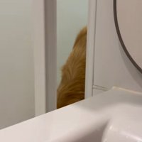 落ち込むドドくん