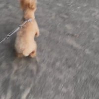 微笑ましい光景にホッコリ♡